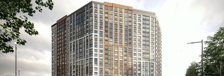 квартира г Воронеж р-н Железнодорожный ул Богдана Хмельницкого 45а фото 3
