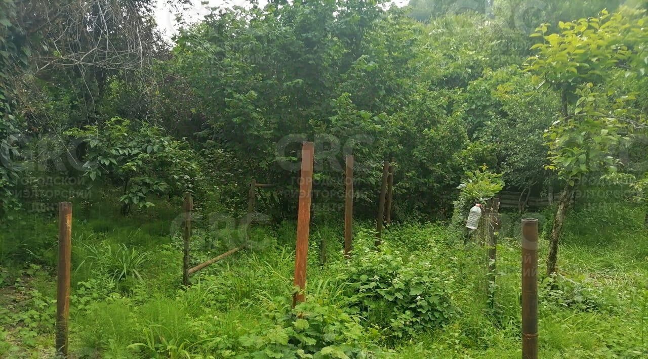 земля г Сочи с Прогресс ул. Юбилейная фото 3