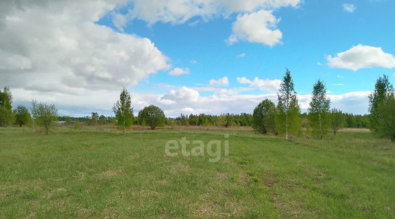 земля г Нижний Новгород р-н Нижегородский ул Магистральная д. Афонино фото 11