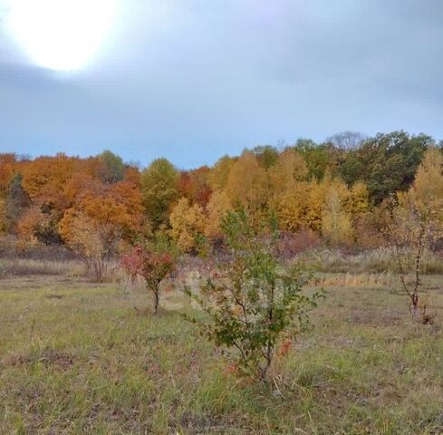 р-н Центральный фото