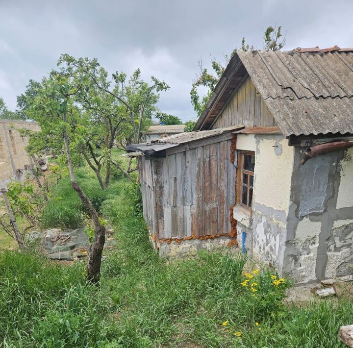 земля г Керчь Дружба-Керчь садово-огороднический кооператив фото 10
