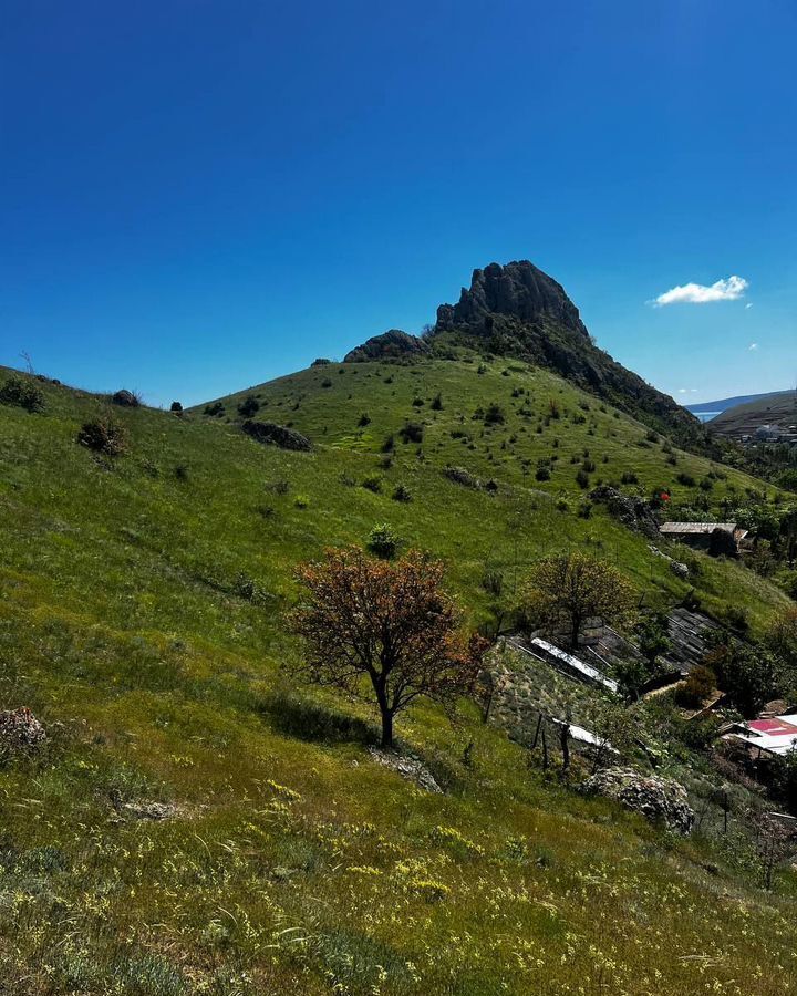 земля г Феодосия пгт Курортное Старый Крым фото 9