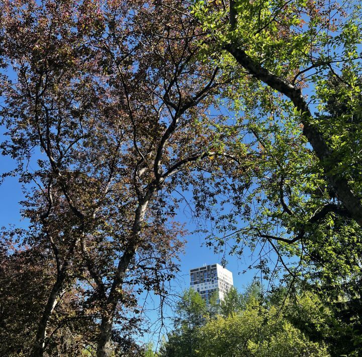 квартира г Екатеринбург Чкаловская ул. Академика Бардина, 26А фото 19