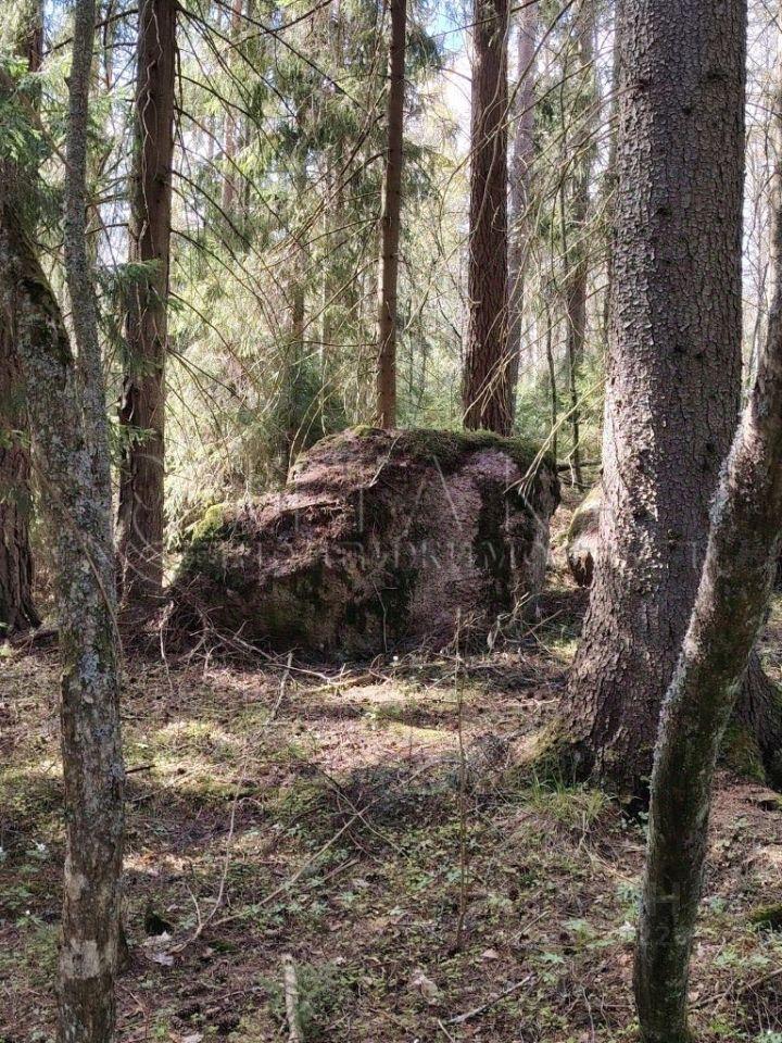 дом р-н Выборгский г Выборг Каменногорское городское поселение, Утиная улица, 2А фото 28