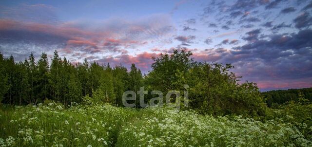 КФХ Татарское тер., Домодедовская фото