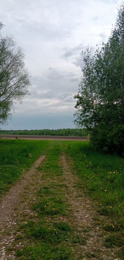 дом г Муром ул 30 лет Победы 39 округ Муром, д. Михалёво фото 3