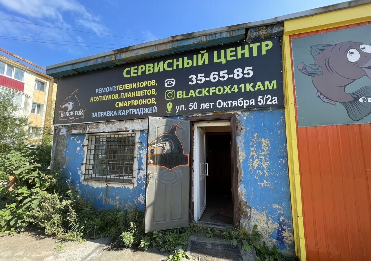 свободного назначения г Петропавловск-Камчатский пр-кт 50 лет Октября 5/2а фото 4