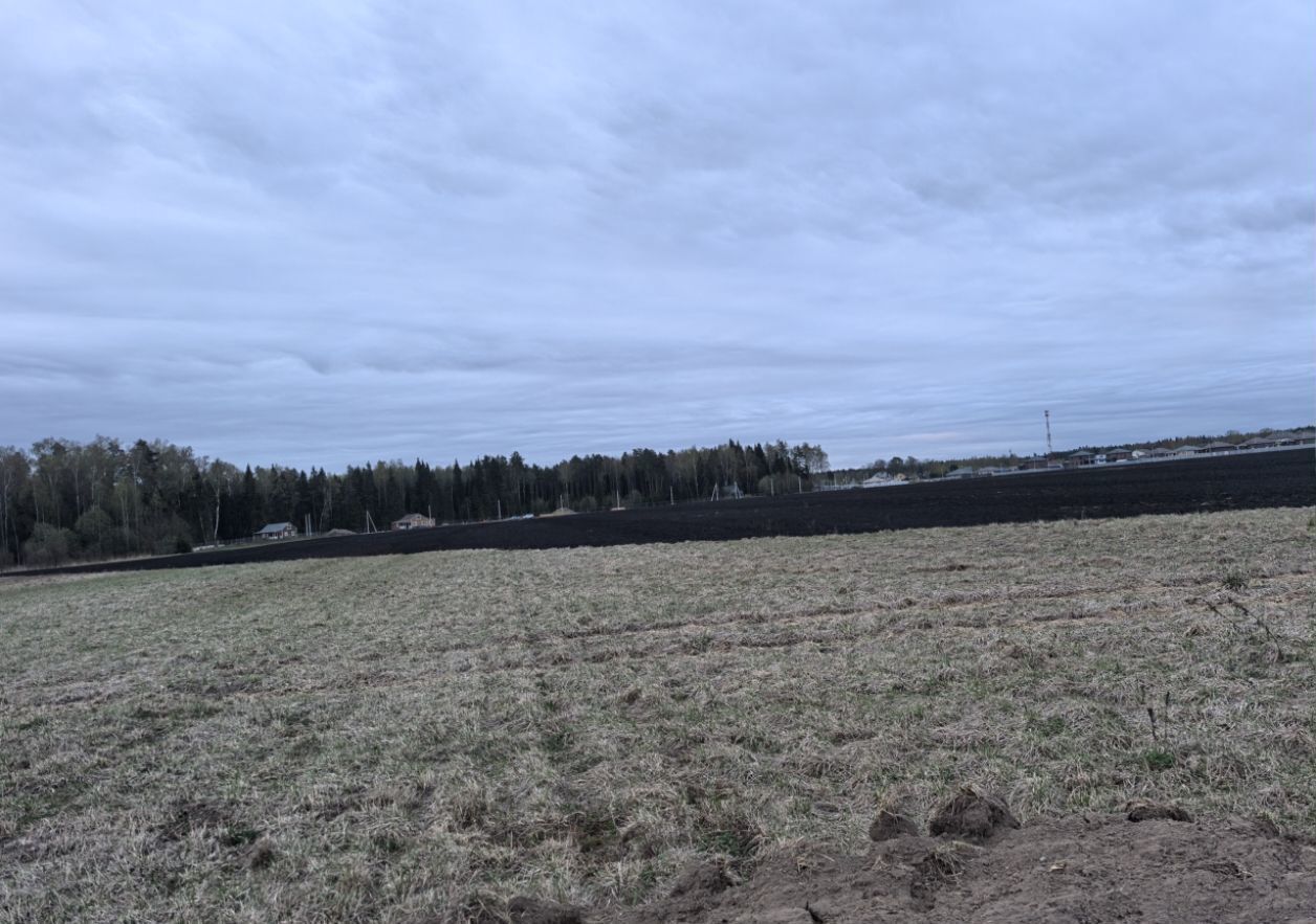 земля городской округ Богородский г Ногинск р-н зона Молзинские дали 35 км, Дали, Щёлковское шоссе фото 2