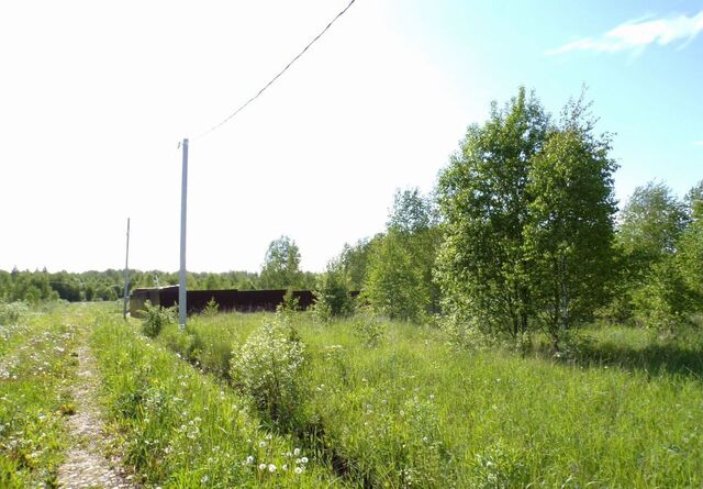 62 км, г. о. Серпухов, Пролетарский, Симферопольское шоссе фото