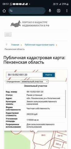 Лопатино фото