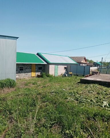 ул Ленина 33а Белоозерский сельсовет, Красноусольский фото