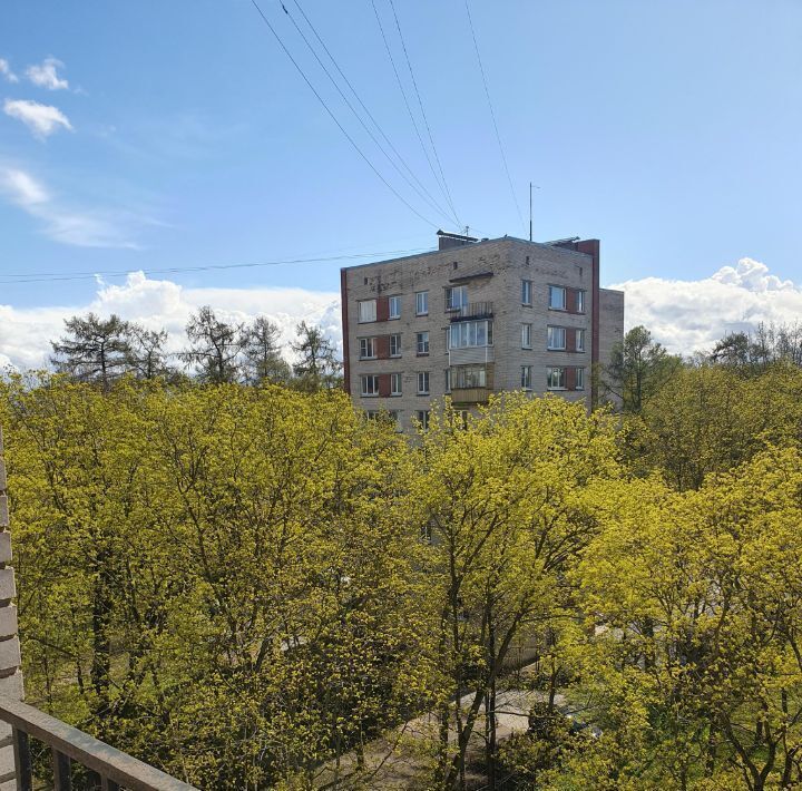 квартира г Санкт-Петербург метро Площадь Мужества ул Новороссийская 20 округ Светлановское фото 22