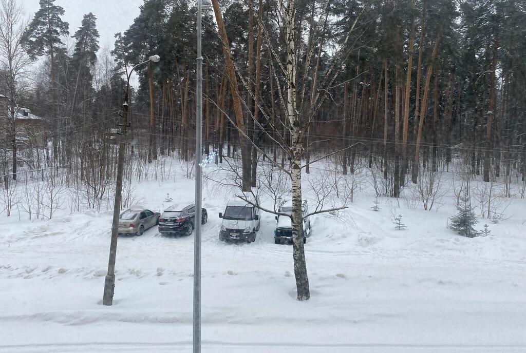 квартира городской округ Пушкинский г Красноармейск ул Новая Жизнь 8 фото 16