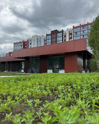 Западный Сосновский округ, Кременкульское сельское поселение, мкр-н Притяжение, ул. имени Ефрейтора Потехина, 1 фото