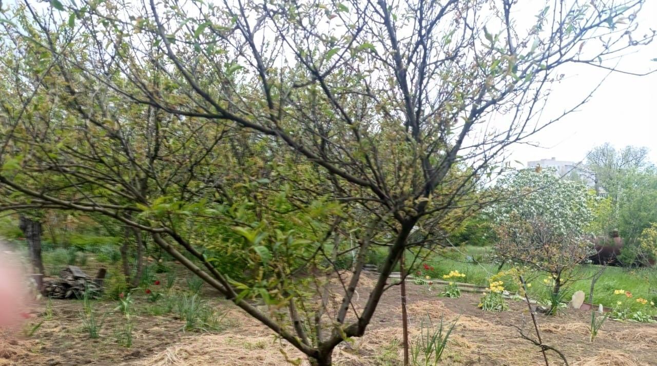 земля г Керчь Залив садово-огороднический кооператив, ул. Миндальная фото 11