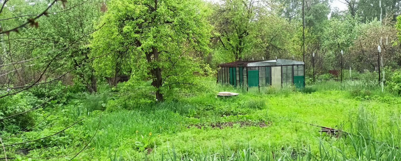 земля г Магнитогорск р-н Правобережный сад Дружба 155 фото 2