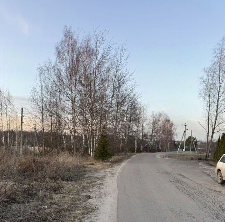 земля г Домодедово д Пушкино 46, Электросталь городской округ фото 4