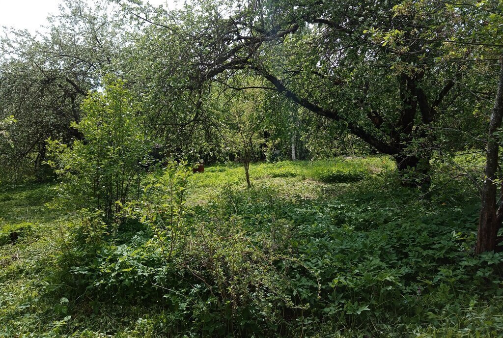 земля г Владимир снт Дружба-2 3 фото 3