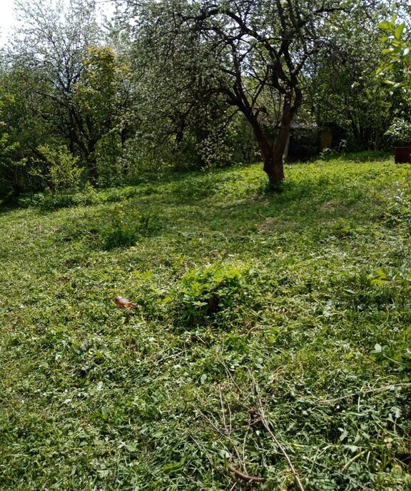 земля г Владимир снт Дружба-2 3 фото 7