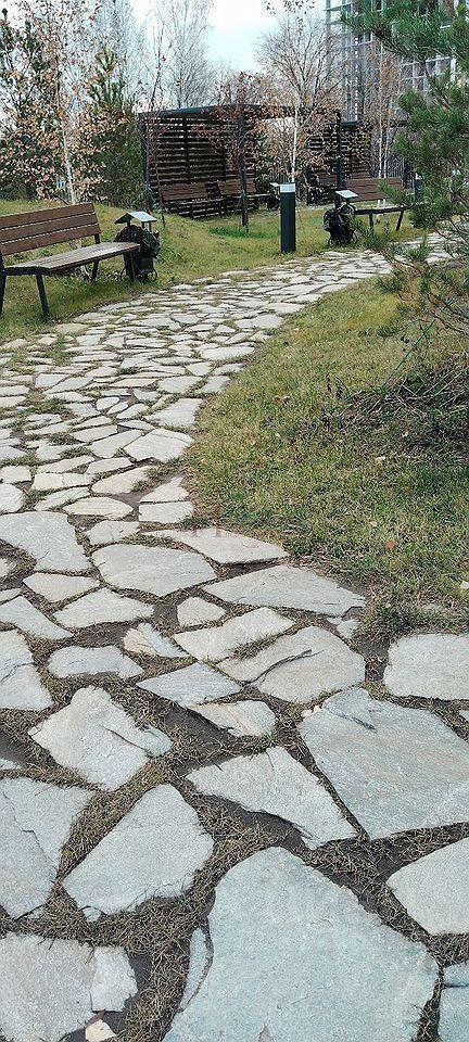 квартира г Новосибирск р-н Заельцовский ул Аэропорт 55 фото 16