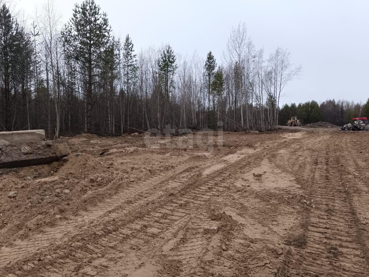 земля г Новодвинск на базу Мечка фото 4