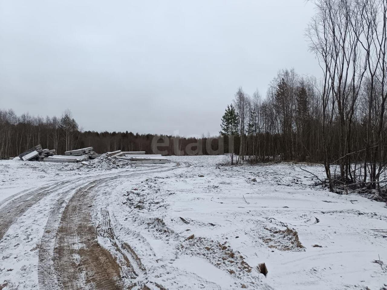 земля г Новодвинск на базу Мечка фото 12