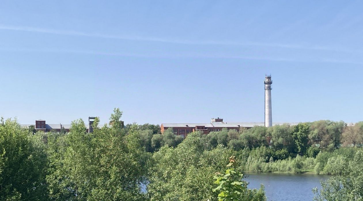 квартира г Раменское ул Свободы 9 Раменское фото 19