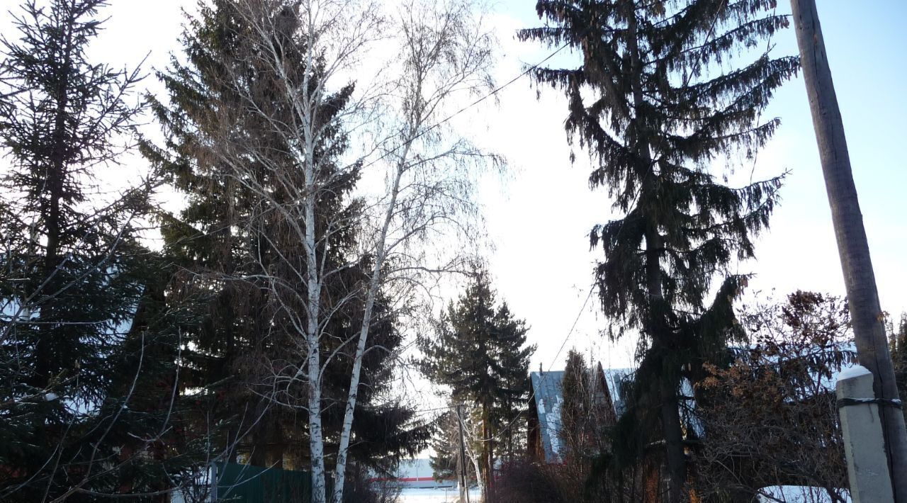 дом г Омск р-н Центральный СОСН Трикотажник тер., аллея 2-я, 52 фото 15