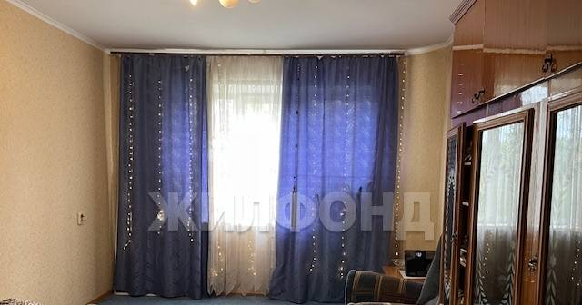 квартира г Новосибирск Нижняя Ельцовка ул Экваторная 15 фото 2