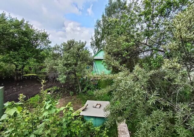 Южный снт Заря 29М фото