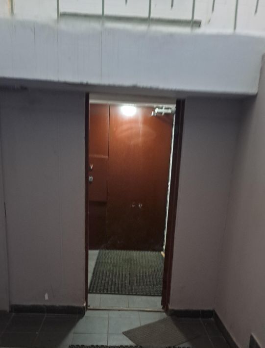квартира г Нижний Новгород Горьковская ул Ошарская 1к/2 фото 20