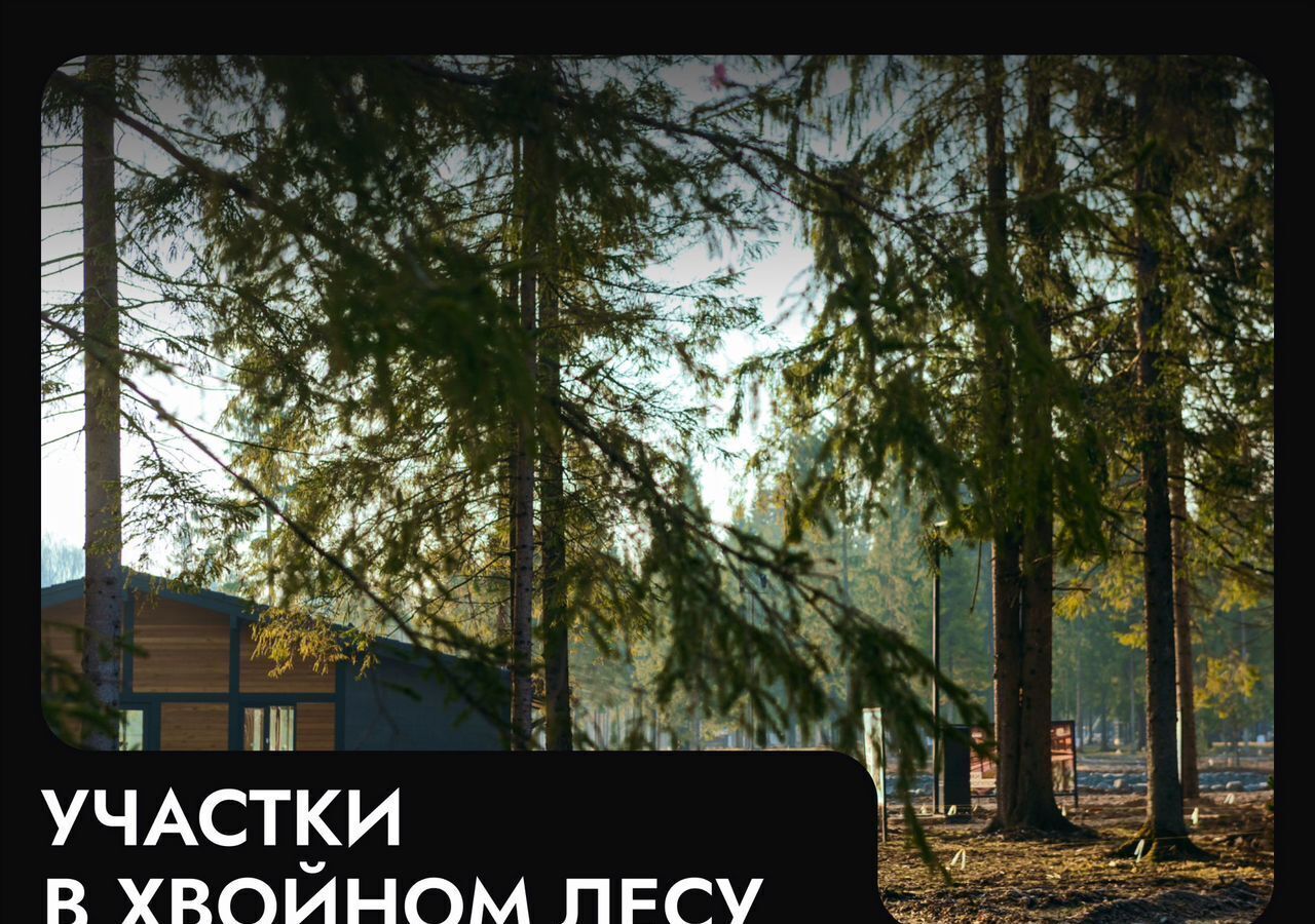 земля г Клин 54 км, эко-посёлок Ели эстейт, Новопетровское, Ленинградское шоссе фото 20