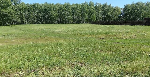 Азовский немецкий р-н фото
