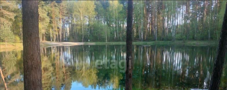 квартира г Коломна тер Луховицы-3 ул Восточная 53 фото 19