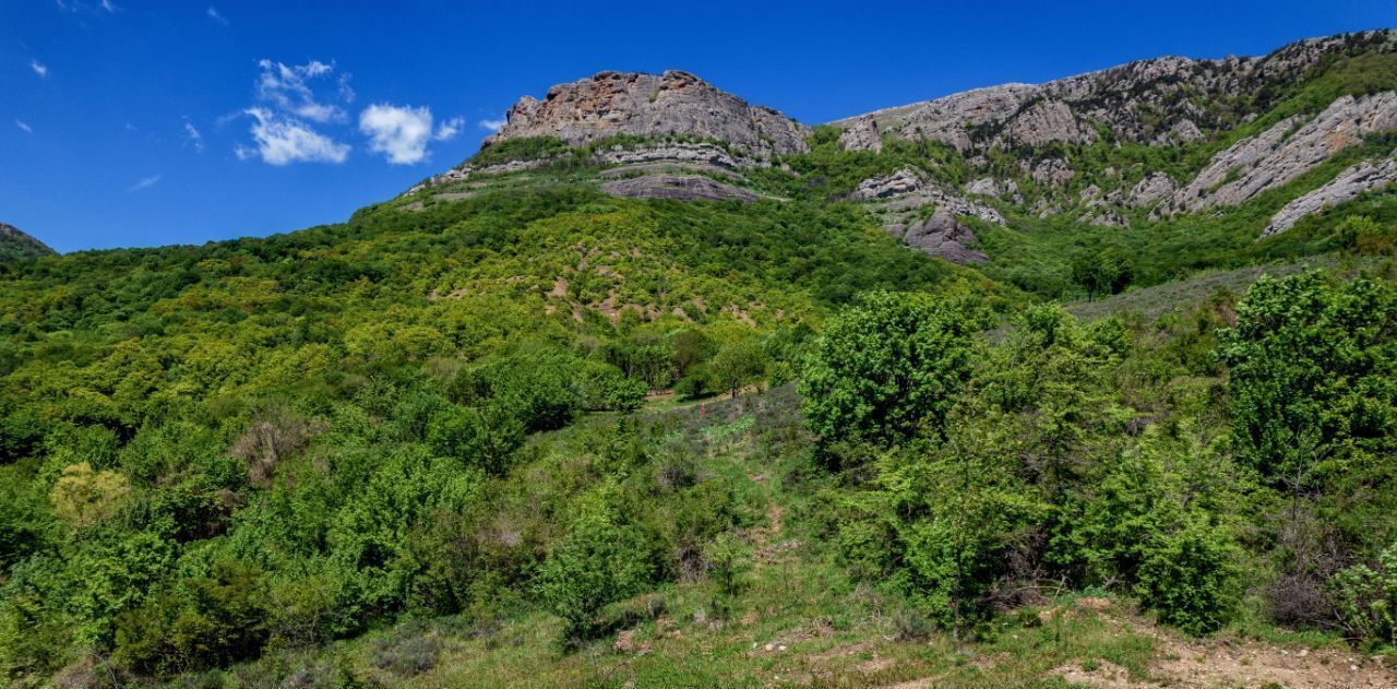 дом г Алушта с Лучистое фото 2
