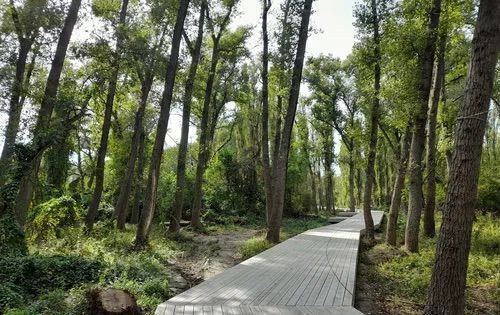 квартира г Махачкала р-н Кировский Благородная ул., 17 фото 8