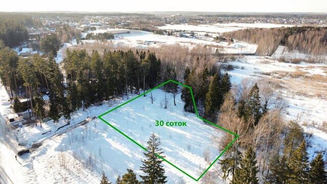 городской округ Красногорск, Нахабино, СНТ Ивушка, Центральная улица фото