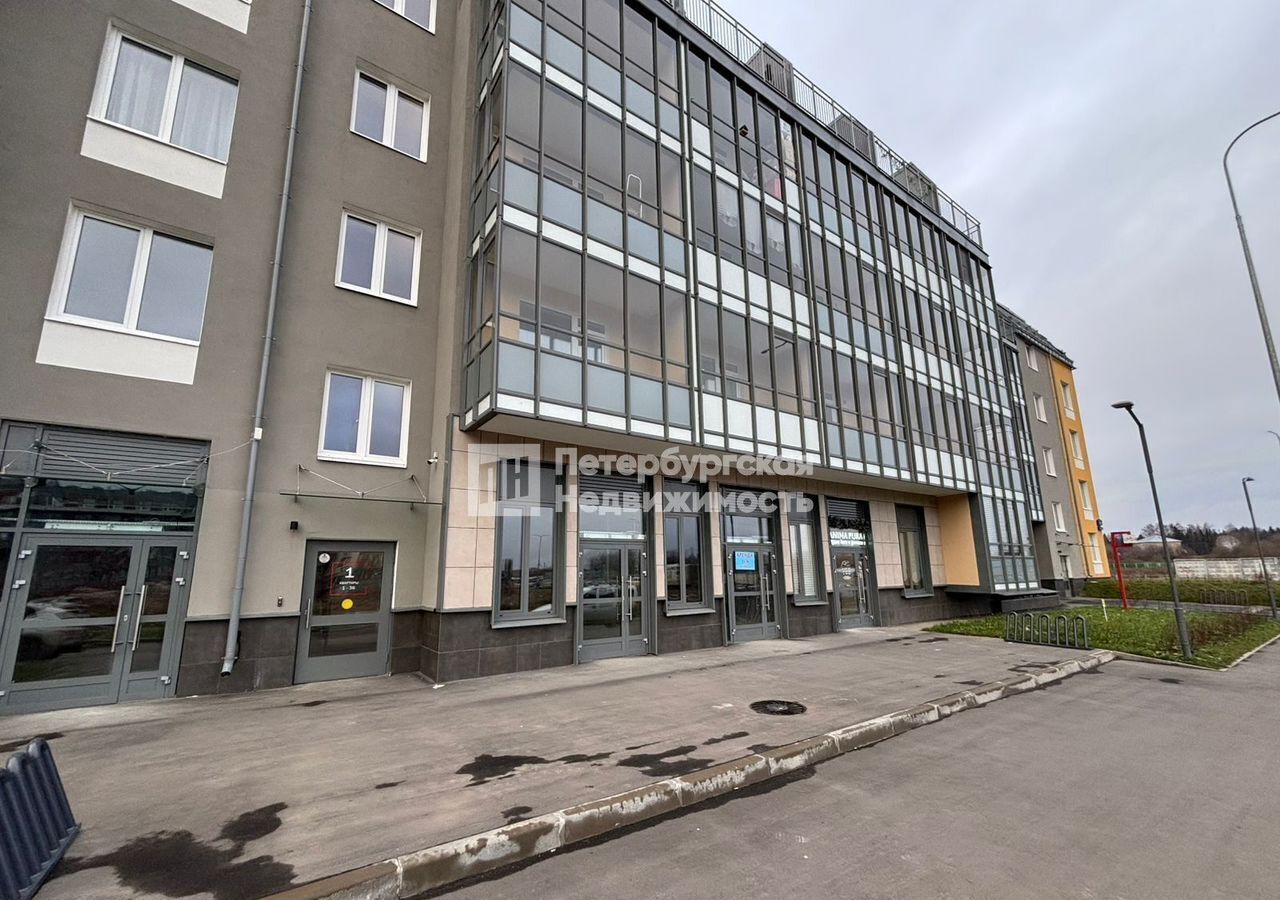 квартира г Санкт-Петербург р-н Московский ул Струве 10к/3 округ Пулковский меридиан фото 9