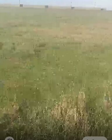 земля днп Волна 210 фото