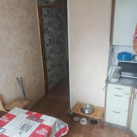 метро Новогиреево ВАО пр-кт Свободный 21/2 с 1, Московская область фото