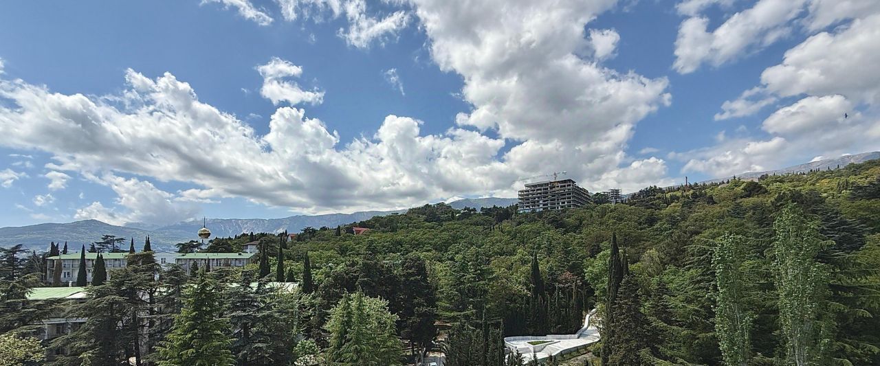 квартира г Ялта ул Дражинского 48 фото 11