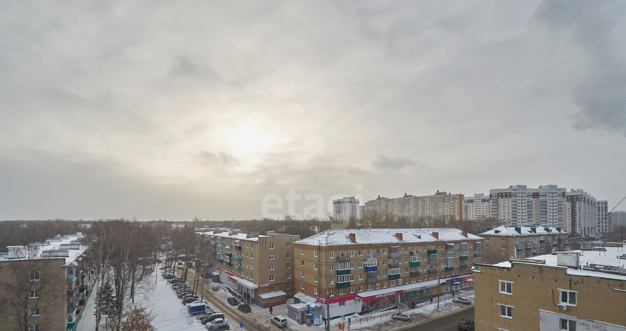 квартира г Пенза Западная поляна ул Мира 11 фото 17