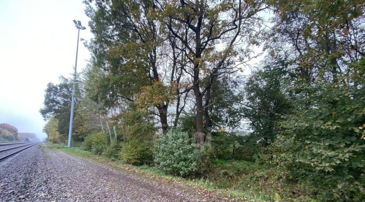 земля г Калининград р-н Центральный ул Сержанта Бурыхина 35а фото 9
