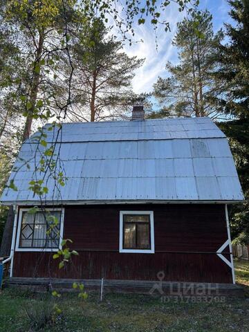 п Каменка Приморское городское поселение, снегоход 2018 фото