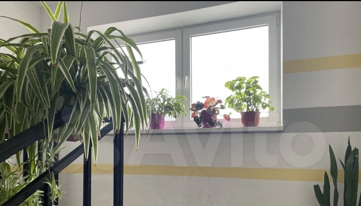квартира г Калининград р-н Московский ул Левитана 18 фото 13