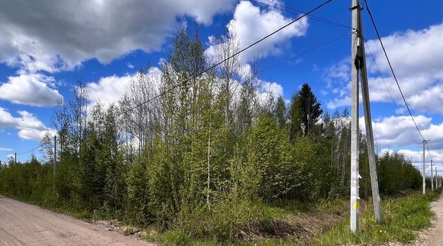 земля массив Восход Синявинское городское поселение, 275, Надежда СНТ, 10-я линия фото