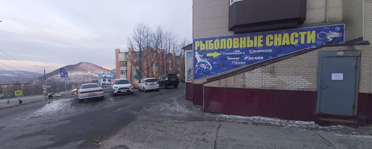 свободного назначения г Петропавловск-Камчатский ул Владивостокская 19 фото 10