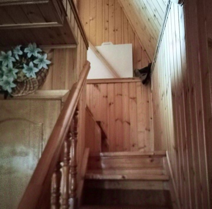 дом г Домодедово снт Лесная даль Апрелевка, 360, Москва фото 19