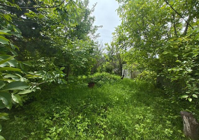 х Ленина некоммерческое товарищество Радуга, Прохладная ул, садовое фото