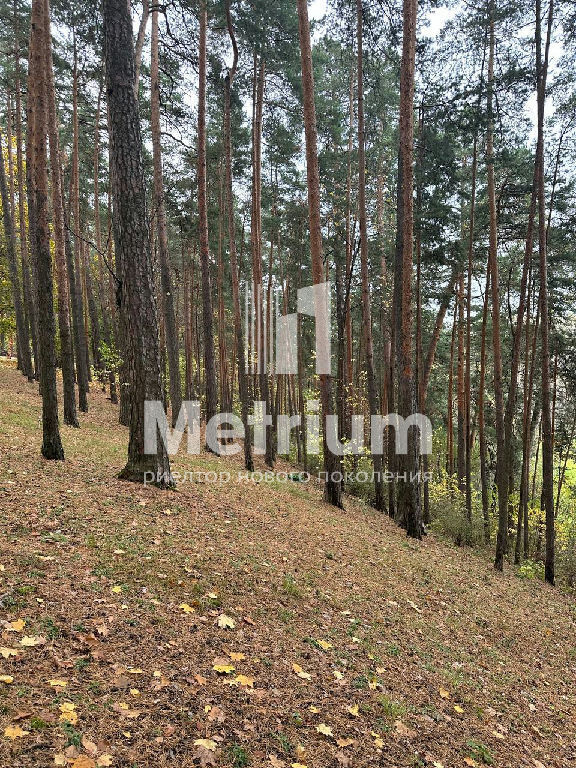 земля городской округ Богородский г Электроугли мкр Вишняковские Дачи фото 1